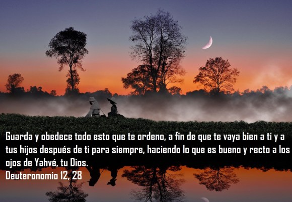 choui-fong-tea-farm-fondo