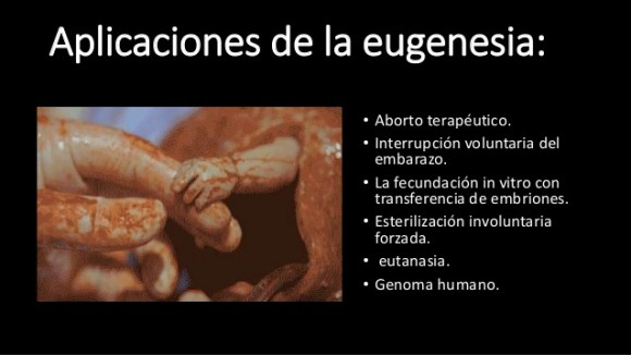 eugenesia-8-638