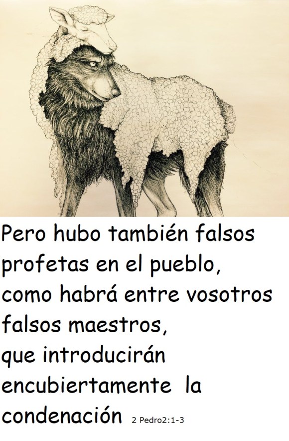 4553db702786695fa99f590e1f0378fa