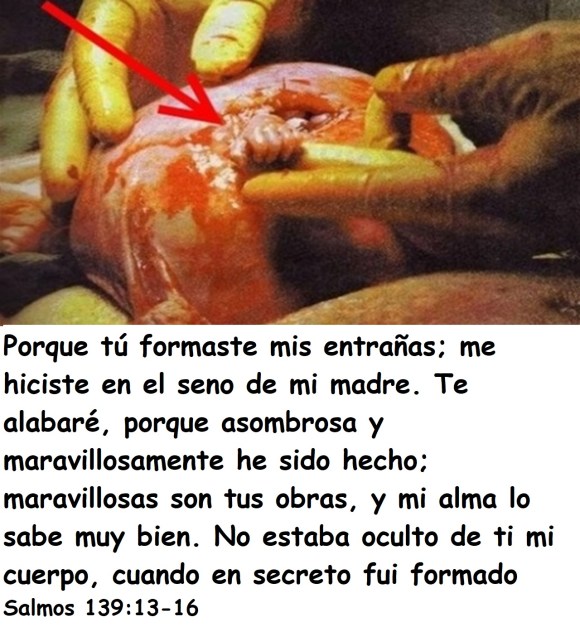 tum-dunyada-sembollesen-fotograflar